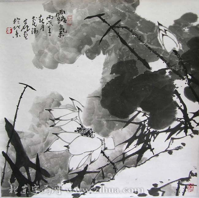 ����¹crl �����ֻ���Ʒ