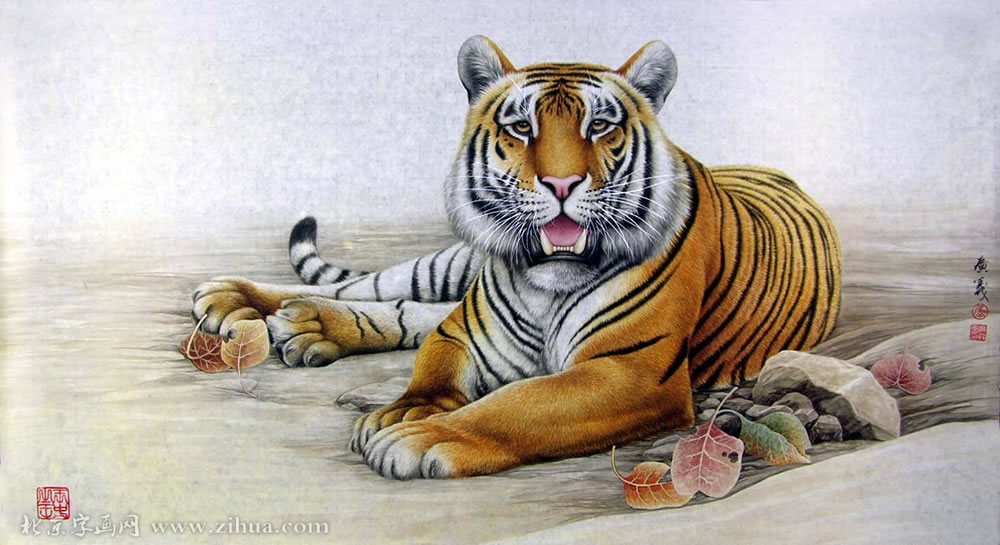 ������qgy ���ֻ���Ʒ