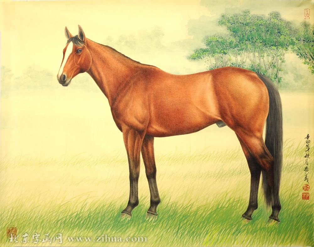 ������qgy ���ֻ���Ʒ