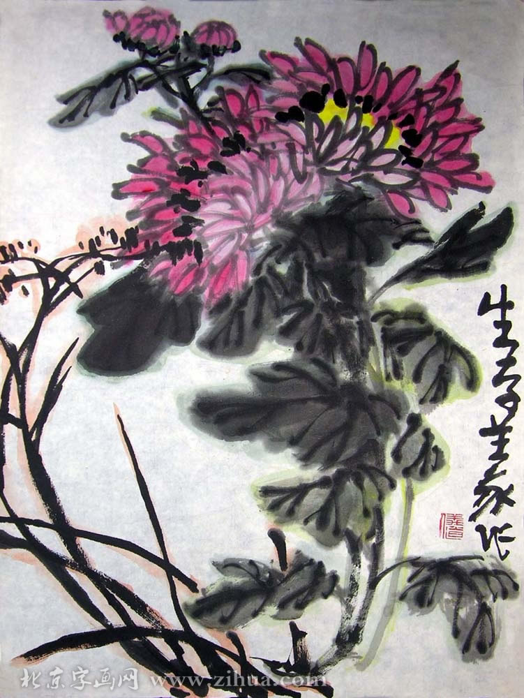 ������scy �����ֻ���Ʒ