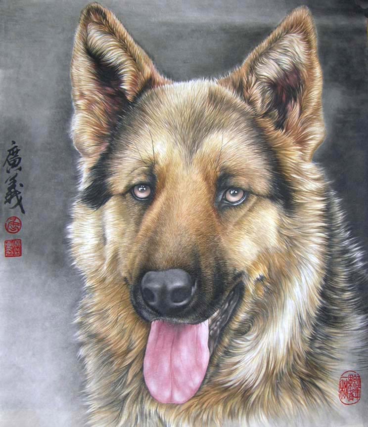 ������qgy ���ֻ���Ʒ