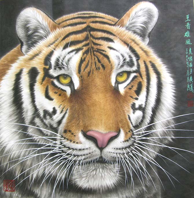 ������qgy �����۷��ֻ���Ʒ