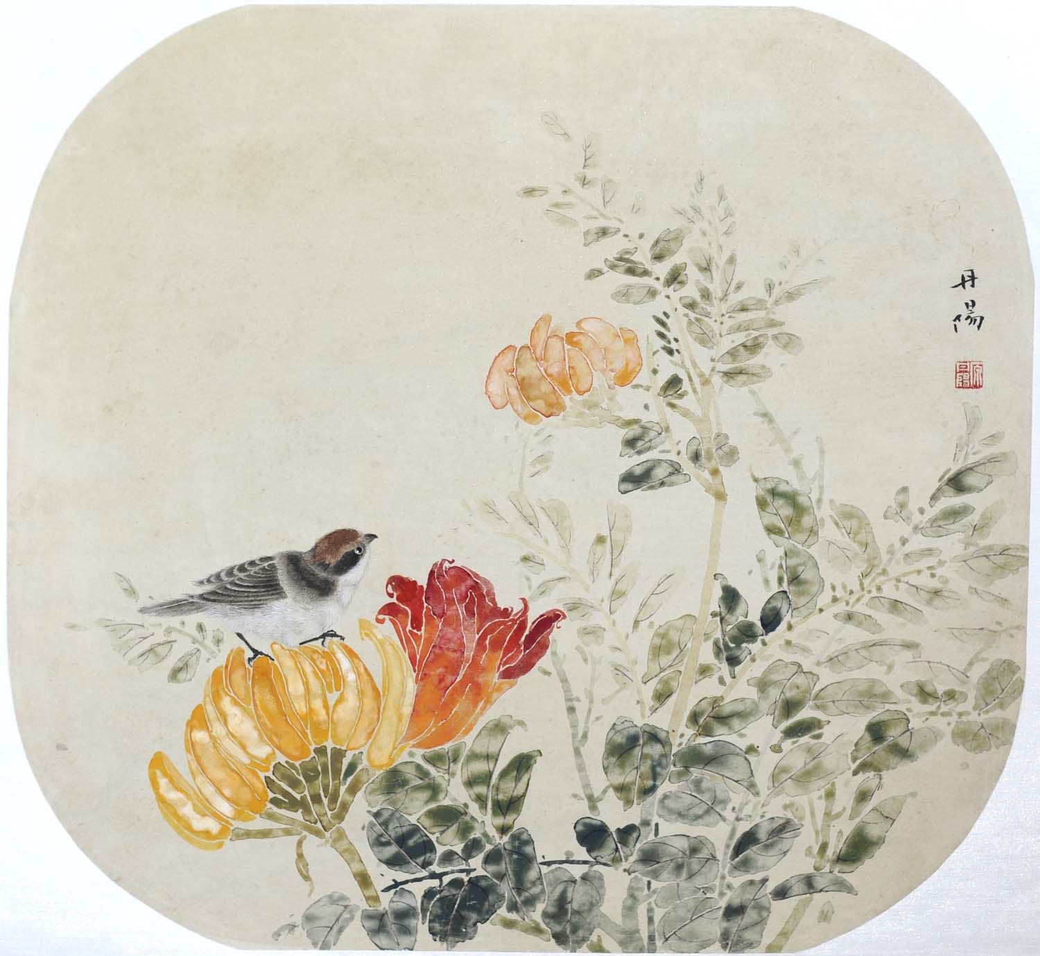 ԭ����ydy �����ֻ���Ʒ