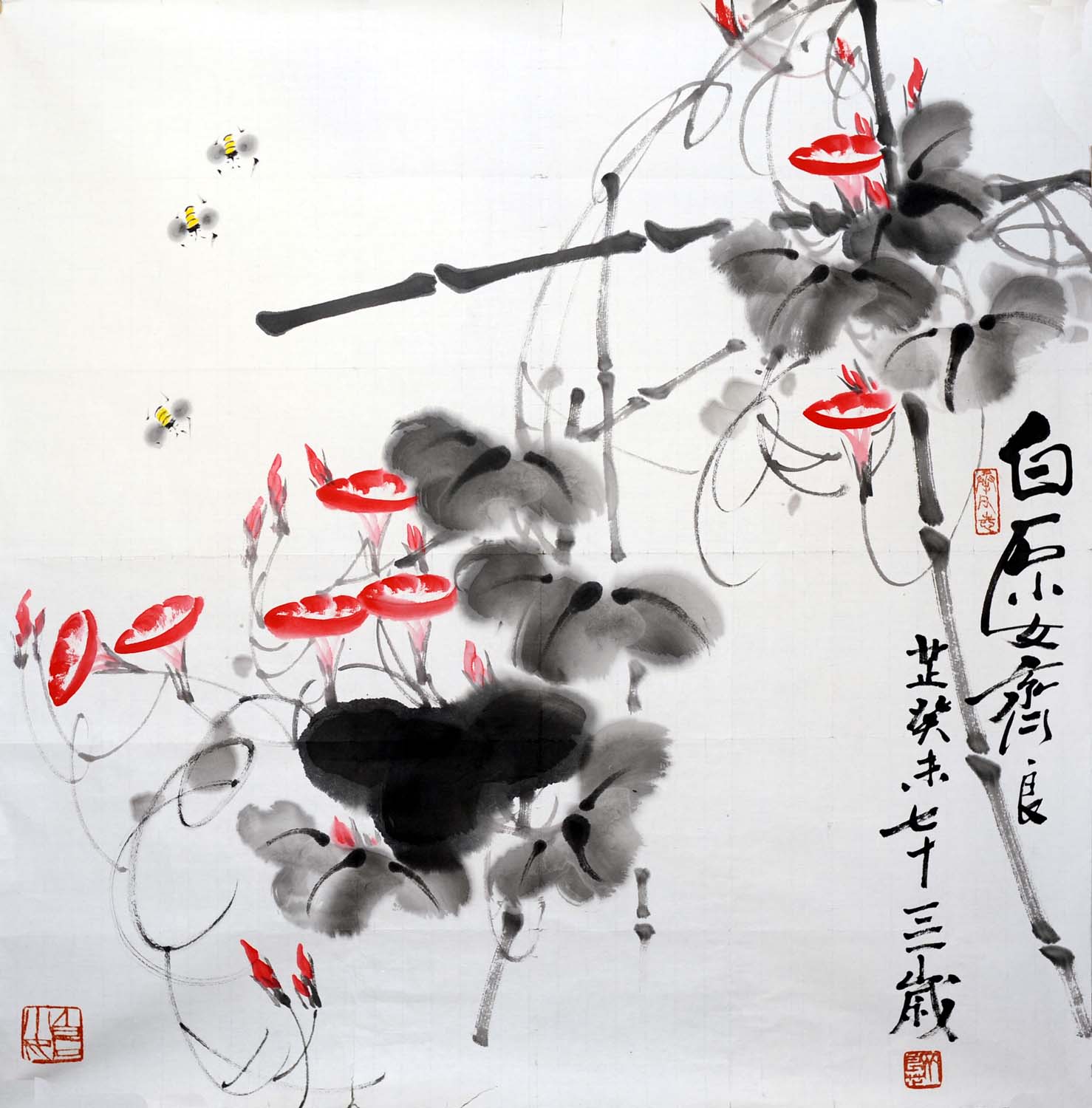 ������qlz �����ֻ���Ʒ