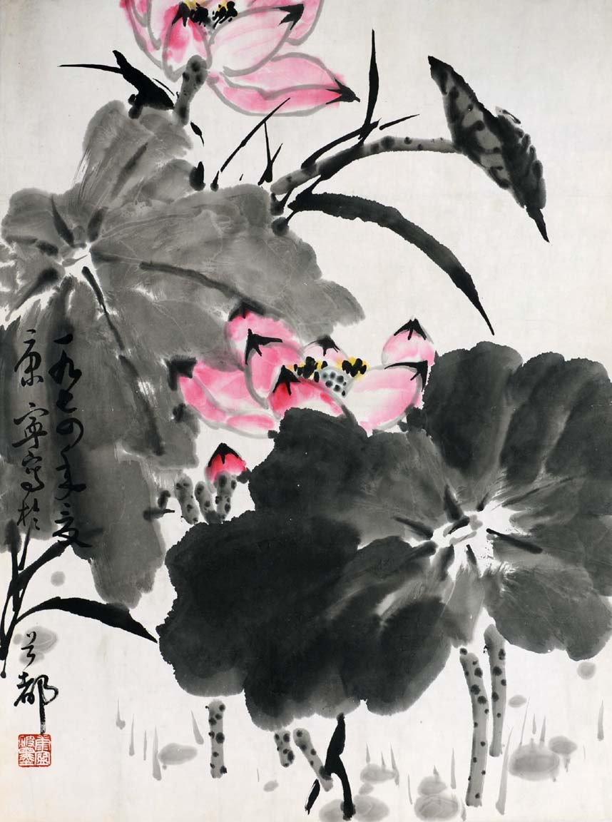 ����kn �ɻ��ֻ���Ʒ