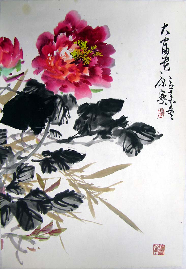 ����kn �����ֻ���Ʒ