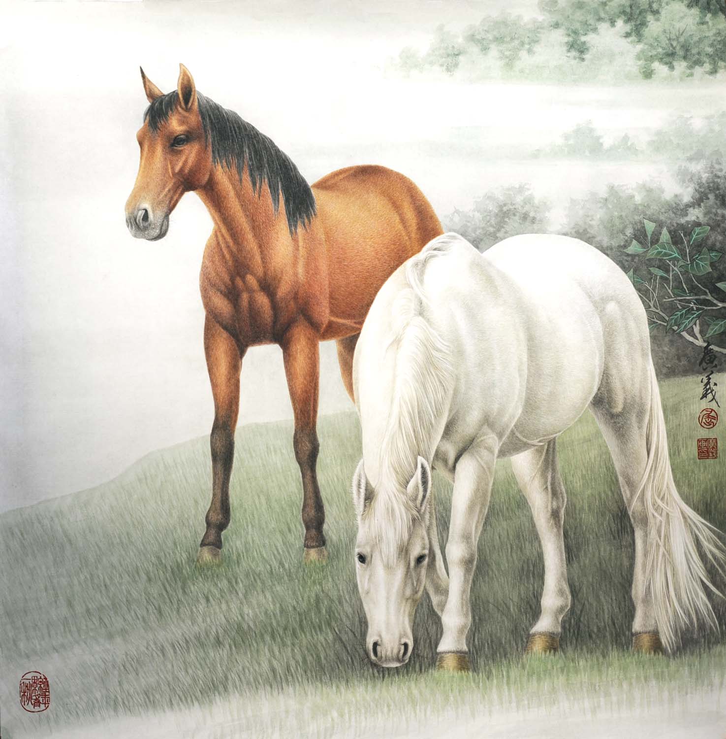 ������qgy ˫���ֻ���Ʒ